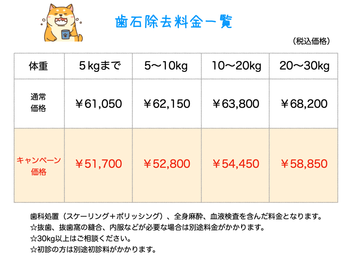 f:id:komorebipetclinic:20210904190121p:plain