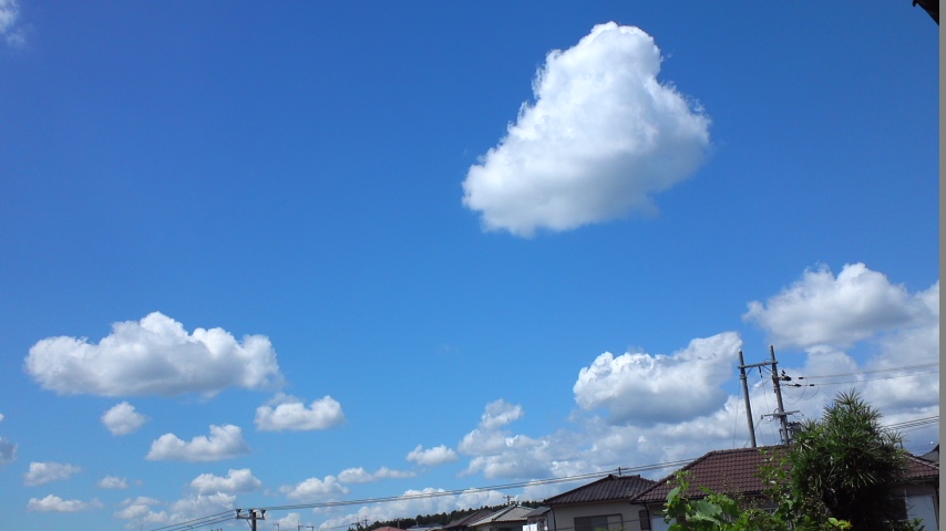 f:id:komorebisodan:20161120150429j:plain f:id:komorebisodan:20161120150429j:plain