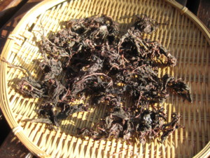 f:id:komori-mbcs:20090910162825j:image