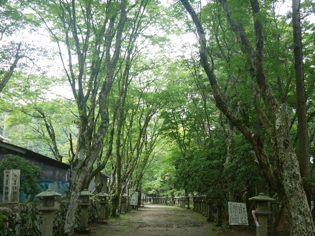 f:id:komoyon-suzu:20170714221120j:image f:id:komoyon-suzu:20170714221120j:image