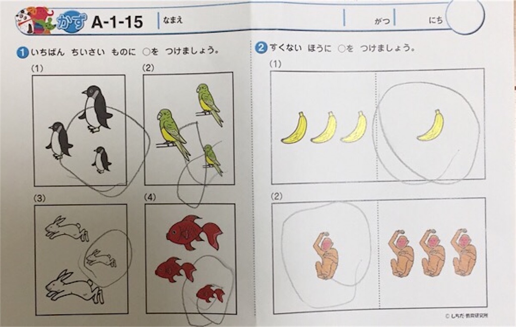 f:id:komugendai:20190729223929j:image