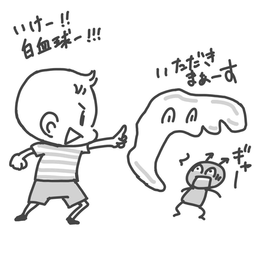 f:id:komugi1222:20170109043024j:plain:w400 f:id:komugi1222:20170109043024j:plain:w400