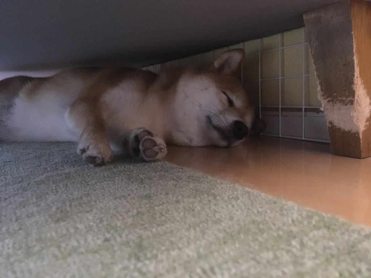 f:id:komugi222:20200516175552j:plain f:id:komugi222:20200516175552j:plain