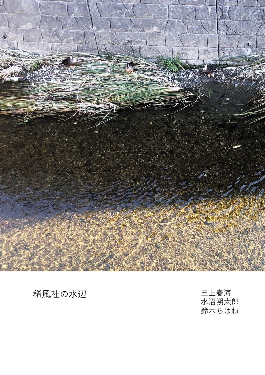 f:id:komugikokomeko:20200225234743j:plain f:id:komugikokomeko:20200225234743j:plain