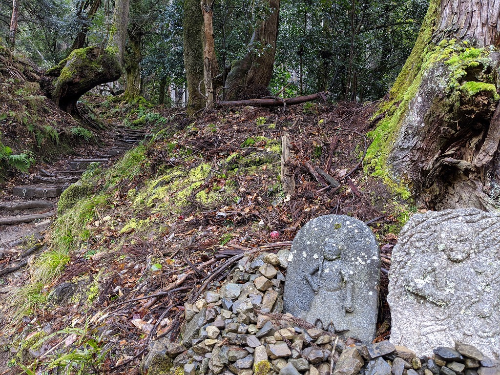 f:id:komuller:20200224183412j:plain f:id:komuller:20200224183412j:plain