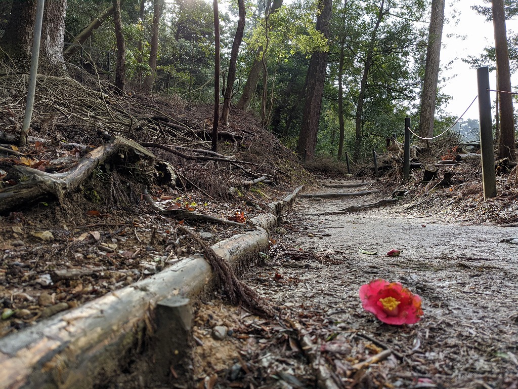 f:id:komuller:20200224183420j:plain f:id:komuller:20200224183420j:plain