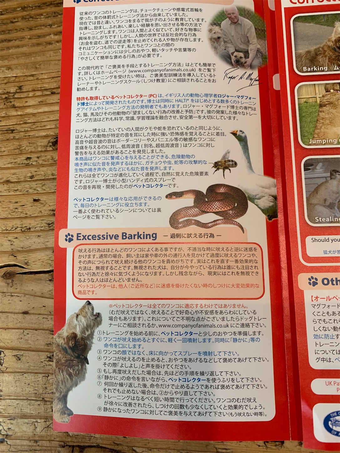 f:id:komutoriku:20200711085211j:image f:id:komutoriku:20200711085211j:image