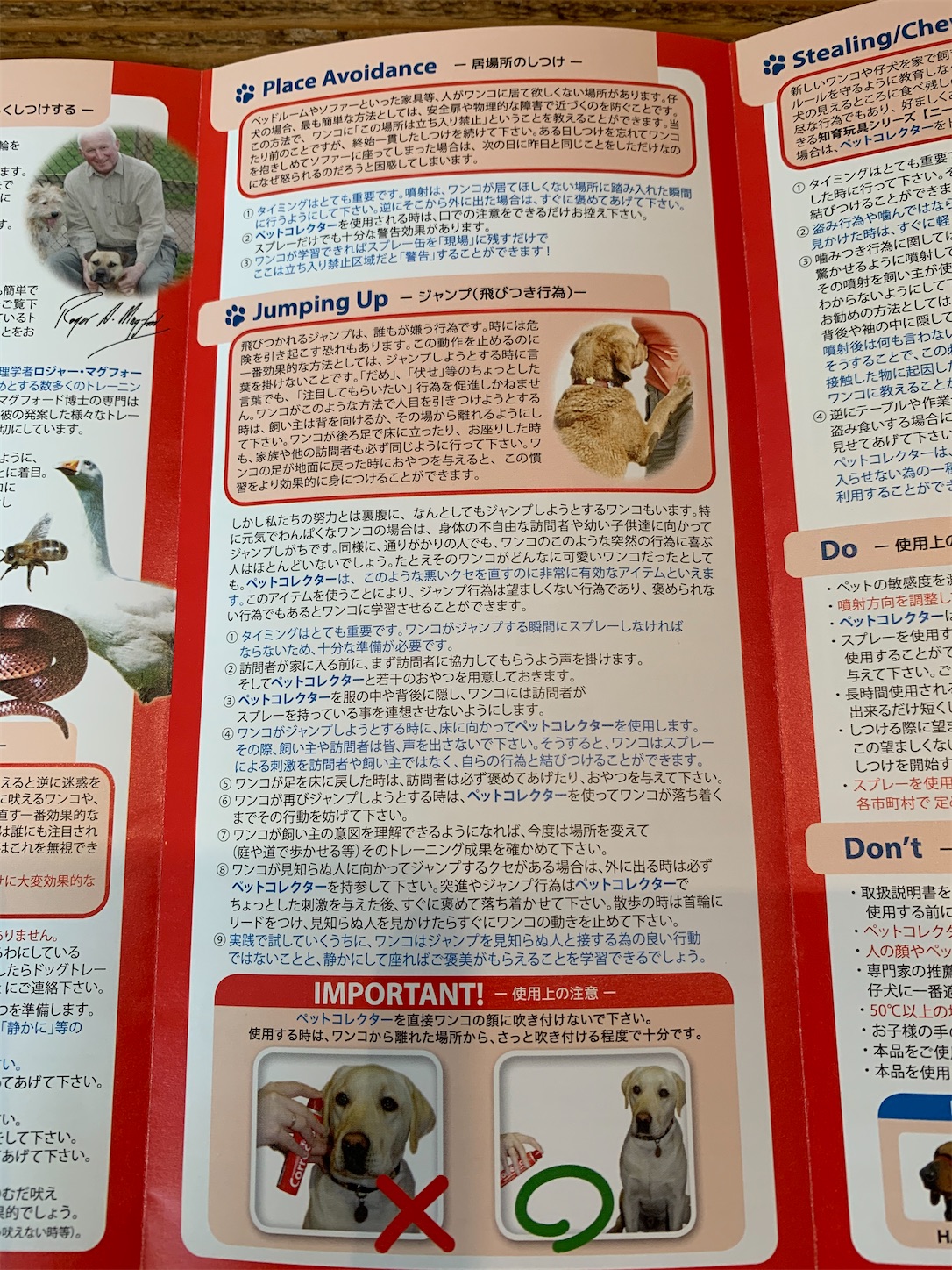 f:id:komutoriku:20200711085221j:image f:id:komutoriku:20200711085221j:image