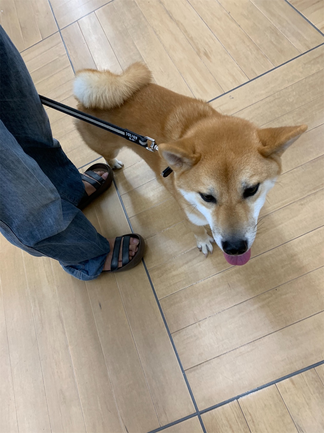 f:id:komutoriku:20200901075925j:image