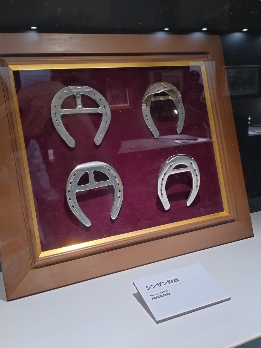 【中古】 追い込み馬／５０の蹄跡 直線だけに、すべての思いを凝縮して/日経ラジオ社/小笠原裕 東京国立博物館 JRA70周年特別展示「世界一までの蹄跡