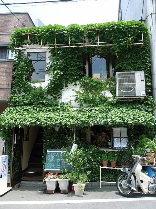 f:id:kon-kon:20090602115202j:image
