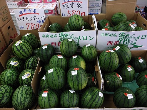 f:id:kon-kon:20090813135726j:image f:id:kon-kon:20090813135726j:image