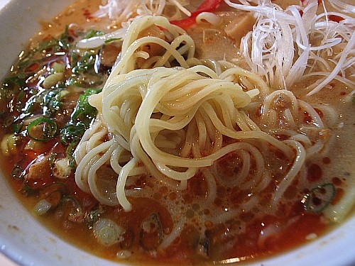 f:id:kon-kon:20090909124317j:image f:id:kon-kon:20090909124317j:image