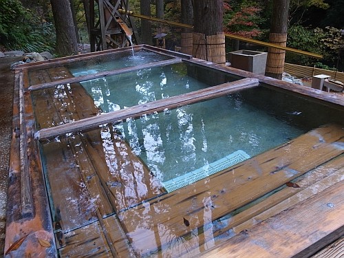 加賀温泉郷 山中温泉 花つばき 赤 黒 黄色日記