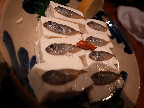 f:id:kon-kon:20100421221114j:image
