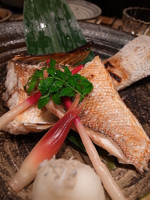 f:id:kon-kon:20101104225559j:image