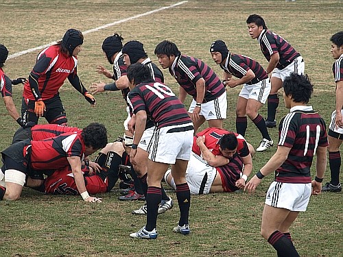 f:id:kon-kon:20110206122129j:image