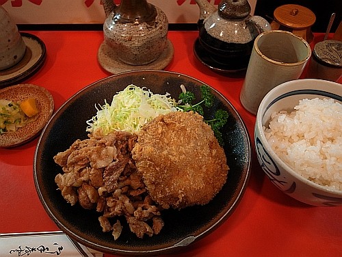 f:id:kon-kon:20110311122843j:image