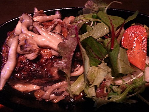 f:id:kon-kon:20110324125758j:image