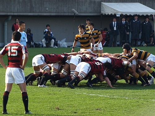 f:id:kon-kon:20111123140903j:image f:id:kon-kon:20111123140903j:image