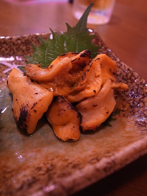 f:id:kon-kon:20130710202032j:image