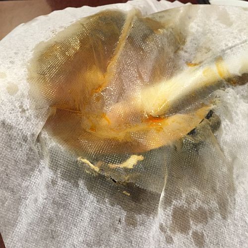 f:id:kon-kon:20160121195213j:image f:id:kon-kon:20160121195213j:image