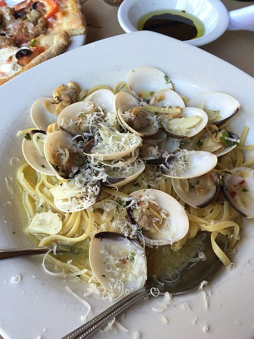 f:id:kon-kon:20160217123036j:image f:id:kon-kon:20160217123036j:image