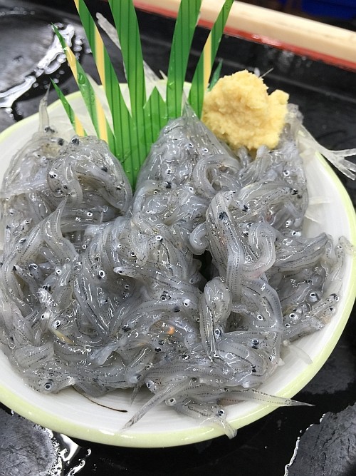 f:id:kon-kon:20160610190545j:image f:id:kon-kon:20160610190545j:image