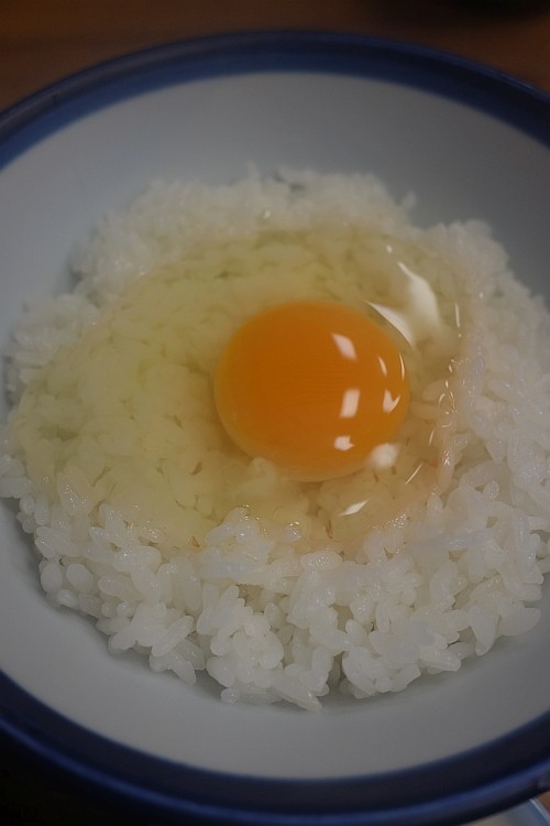 f:id:kon-kon:20170122105758j:image