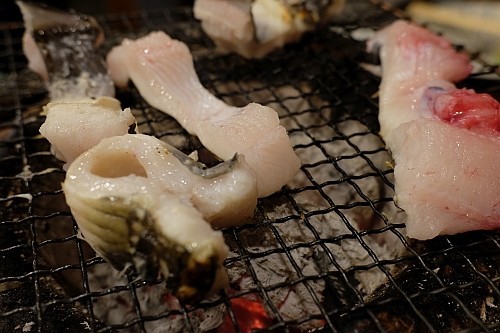 f:id:kon-kon:20171031215350j:image