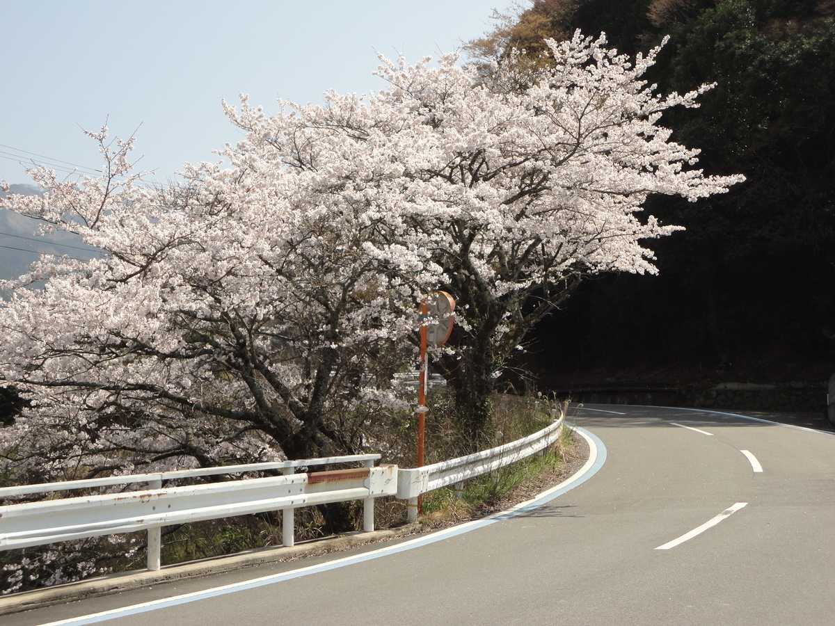 f:id:kon3815:20210327003505j:plain