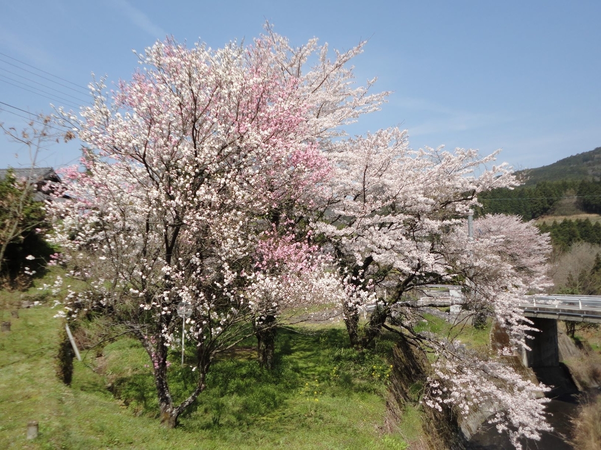 f:id:kon3815:20210327004318j:plain