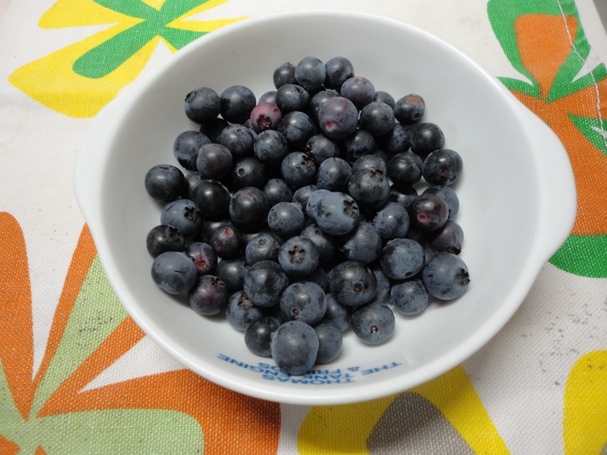 f:id:kon3815:20210802001320j:plain