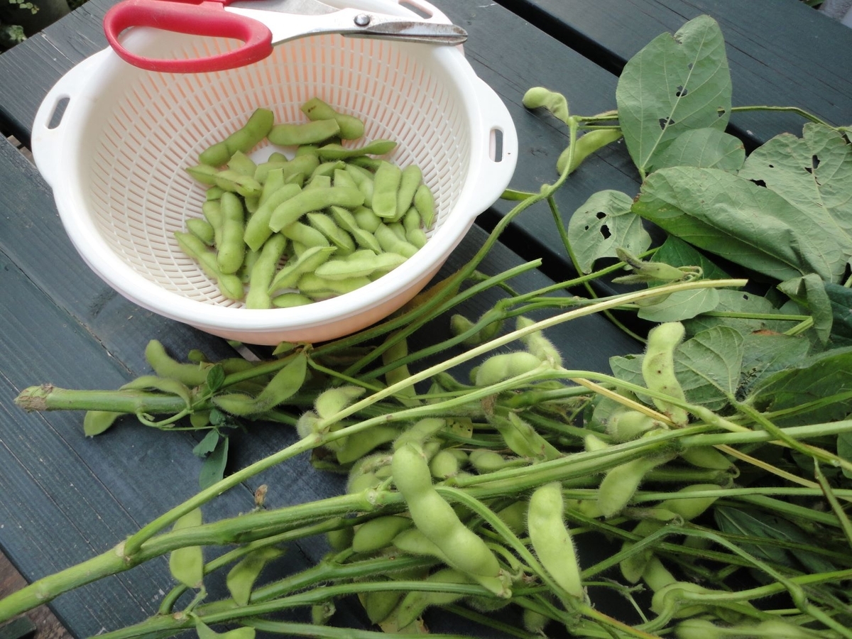 f:id:kon3815:20210804003208j:plain