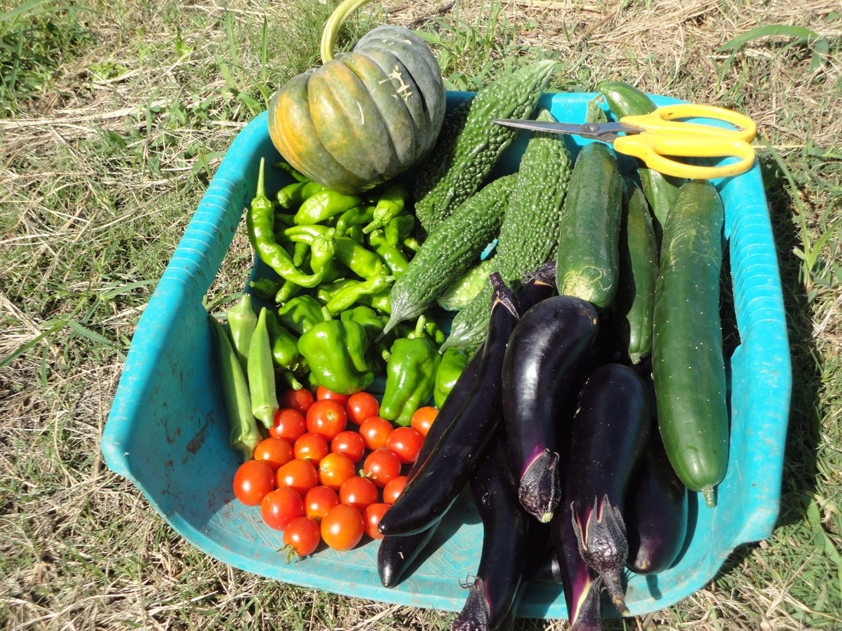 f:id:kon3815:20210811003641j:plain