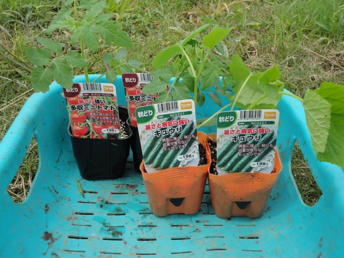 f:id:kon3815:20210820001037j:plain