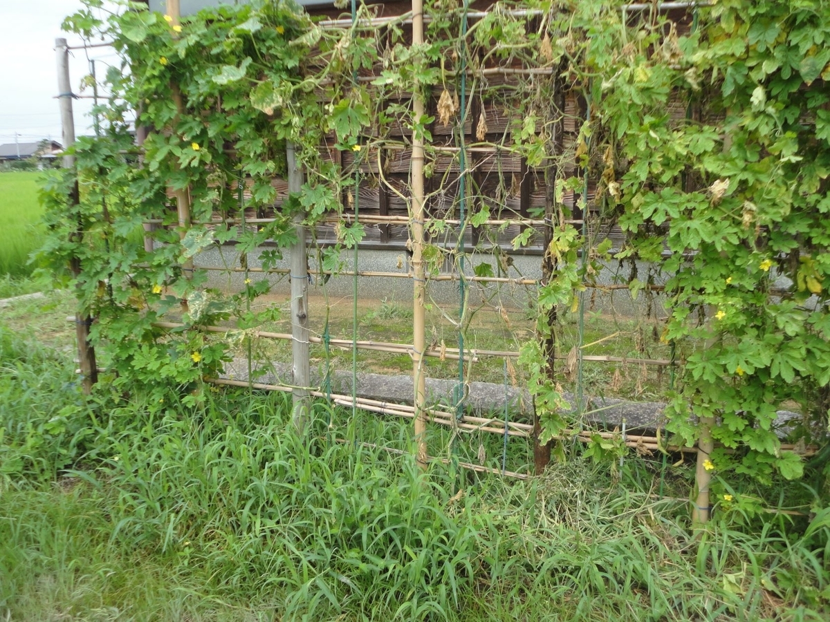 f:id:kon3815:20210820001138j:plain