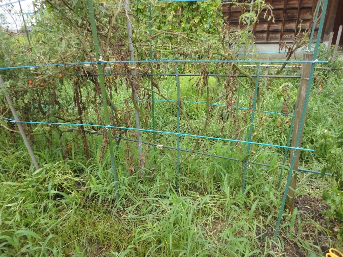 f:id:kon3815:20210820001754j:plain