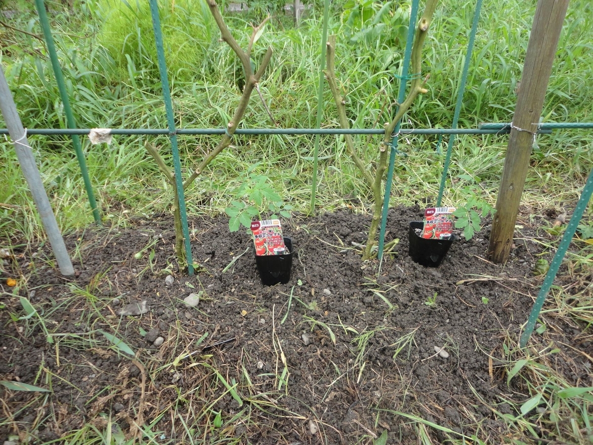 f:id:kon3815:20210820001910j:plain