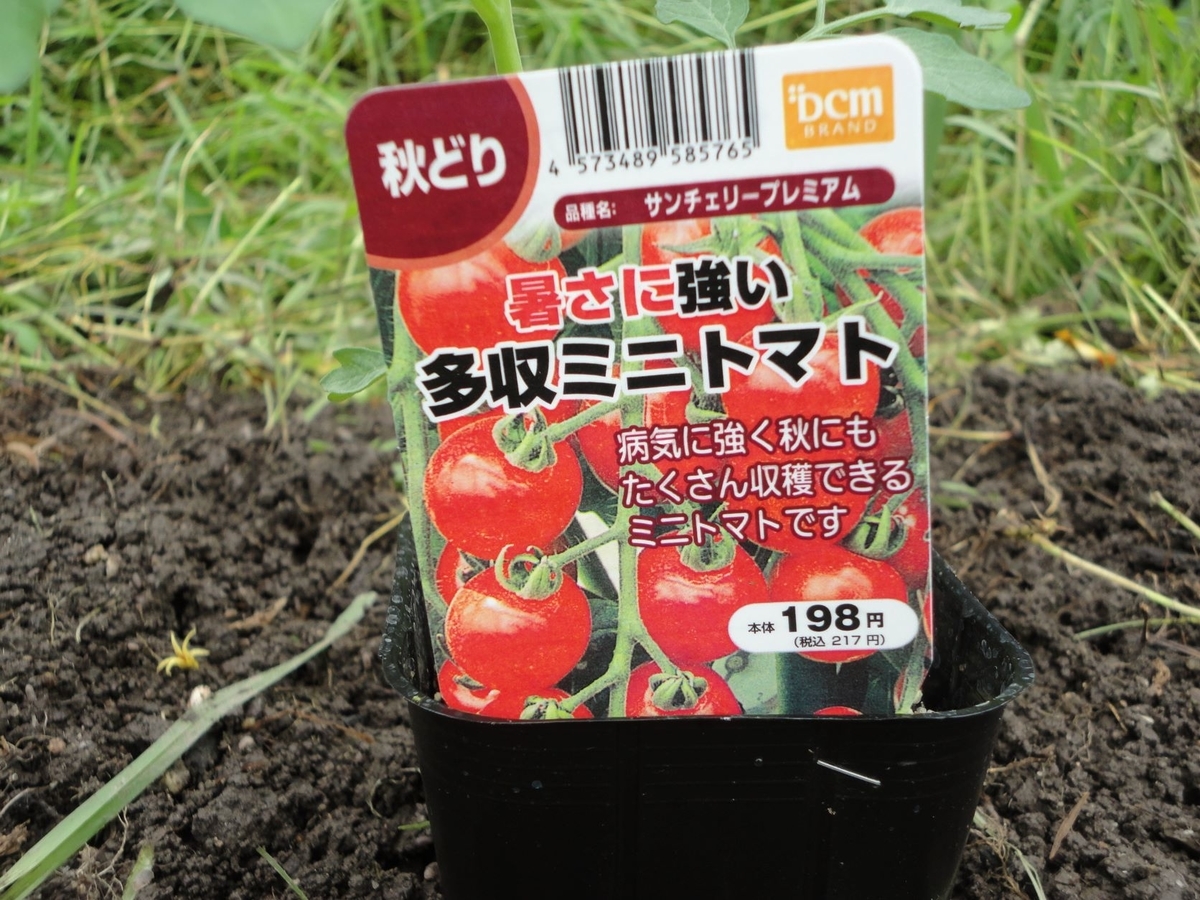 f:id:kon3815:20210820002229j:plain