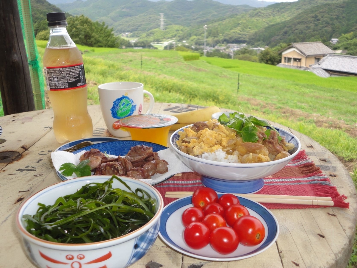 f:id:kon3815:20210821002751j:plain