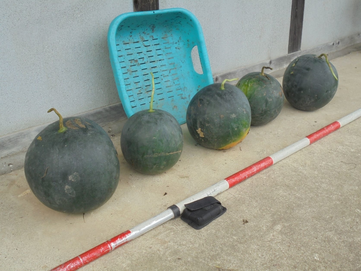 f:id:kon3815:20210822001543j:plain