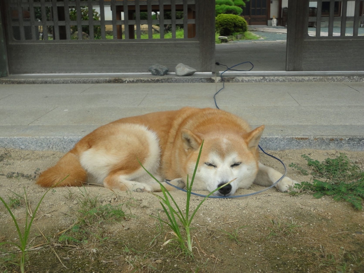 f:id:kon3815:20210906002228j:plain