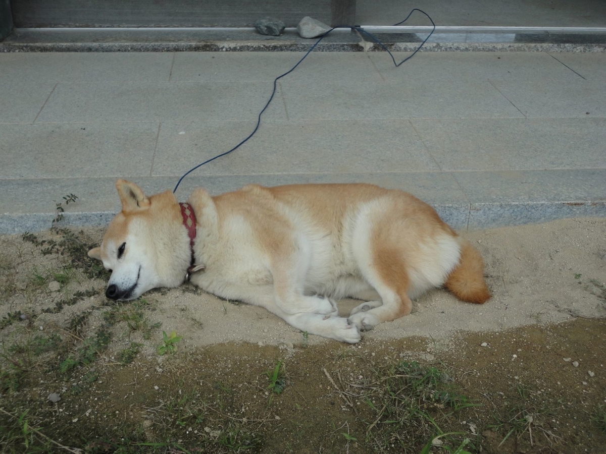 f:id:kon3815:20210917002048j:plain