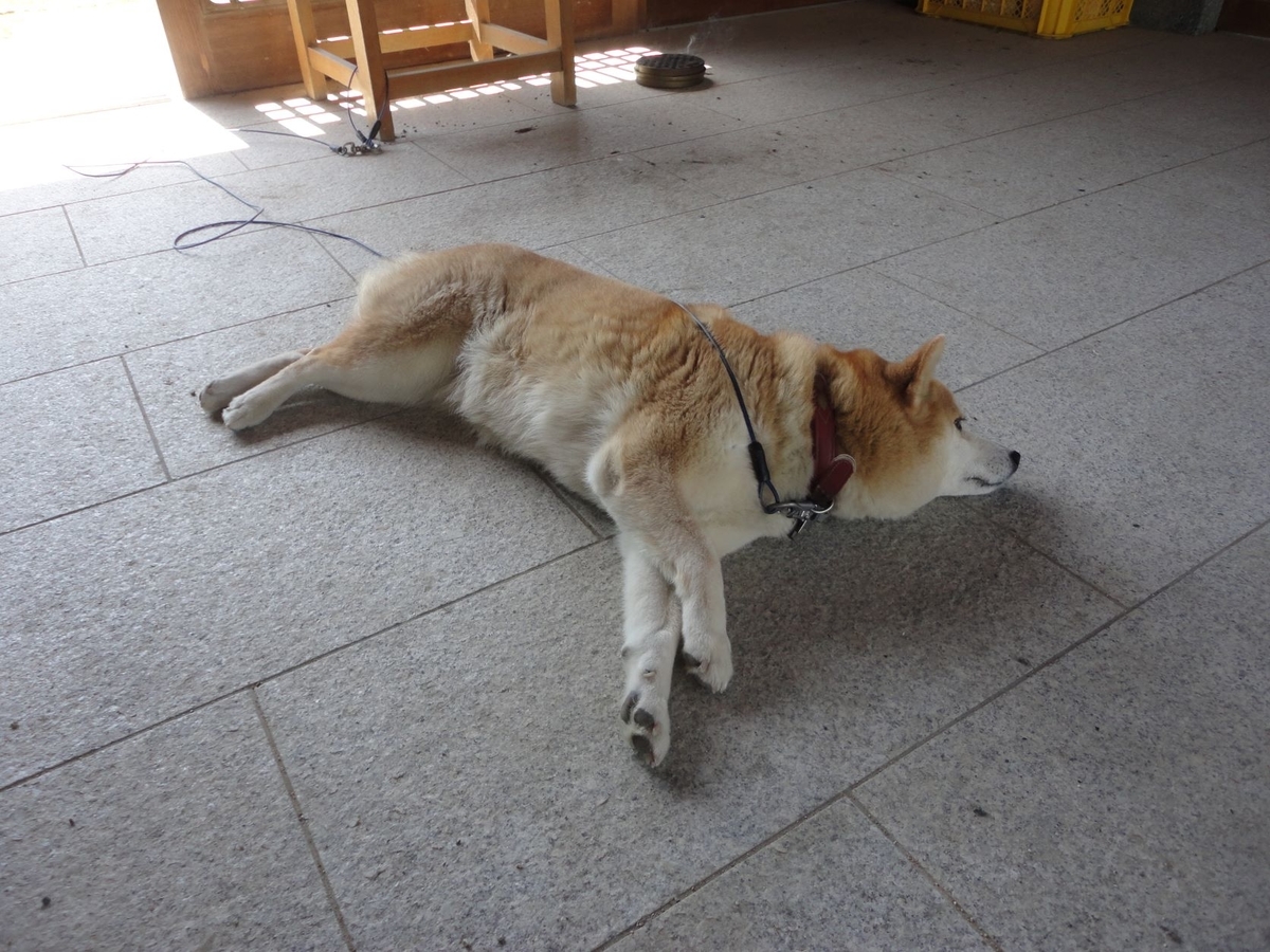 f:id:kon3815:20211004002616j:plain