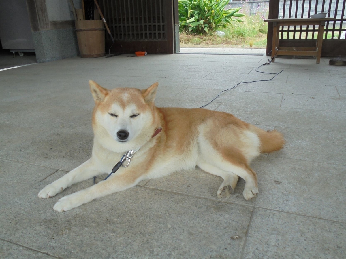 f:id:kon3815:20211013002241j:plain