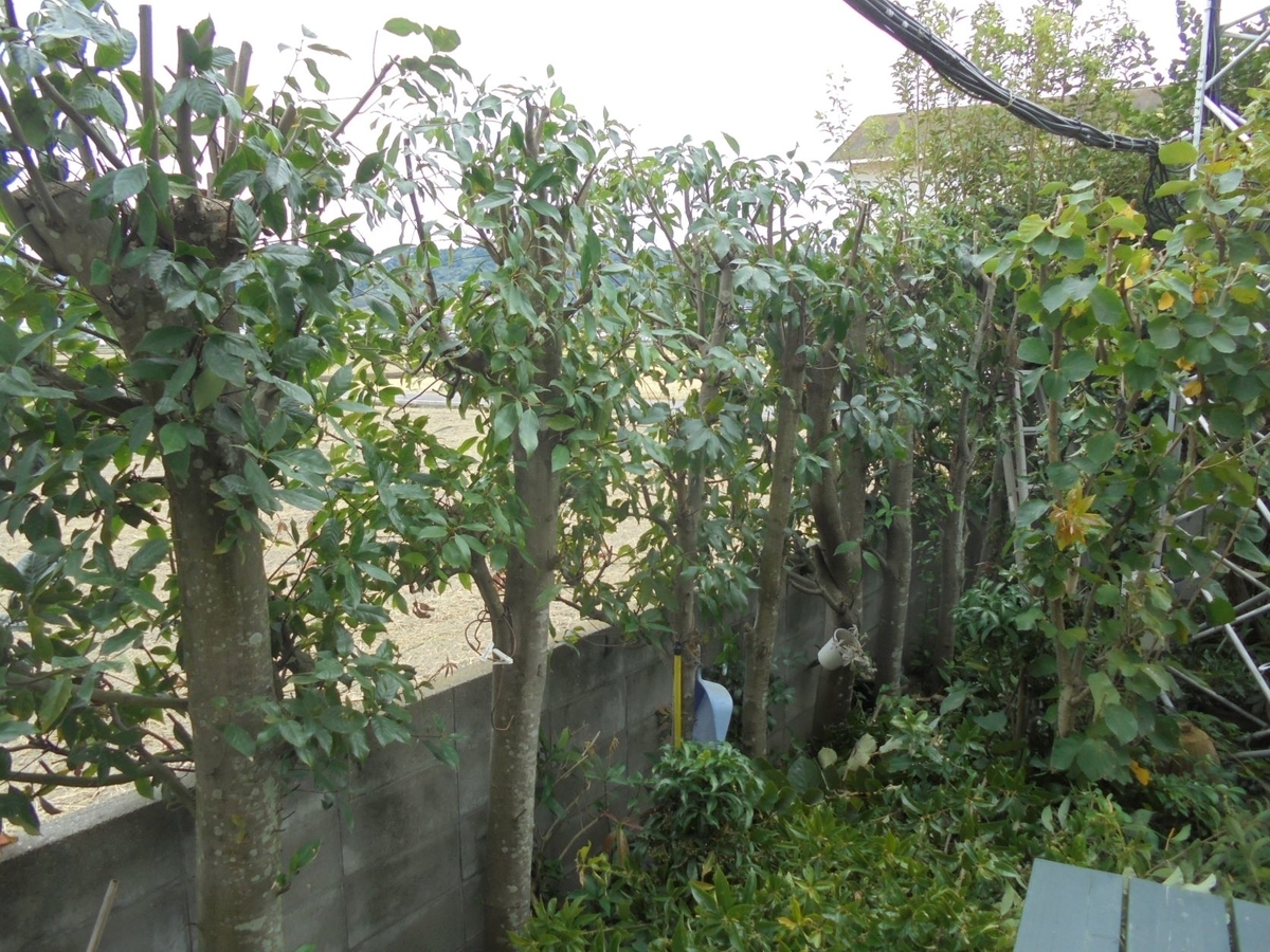 f:id:kon3815:20211022000809j:plain