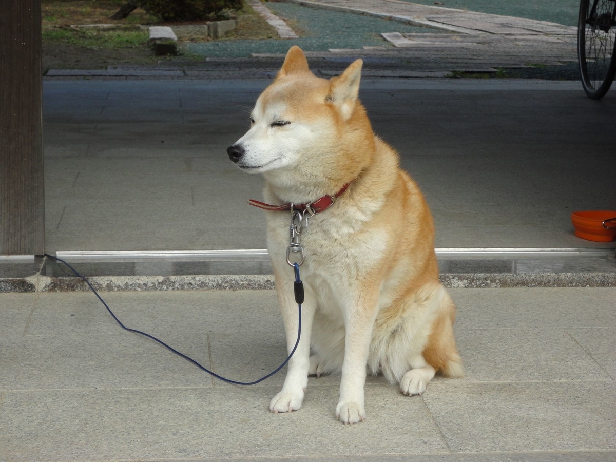 f:id:kon3815:20211112000824j:plain