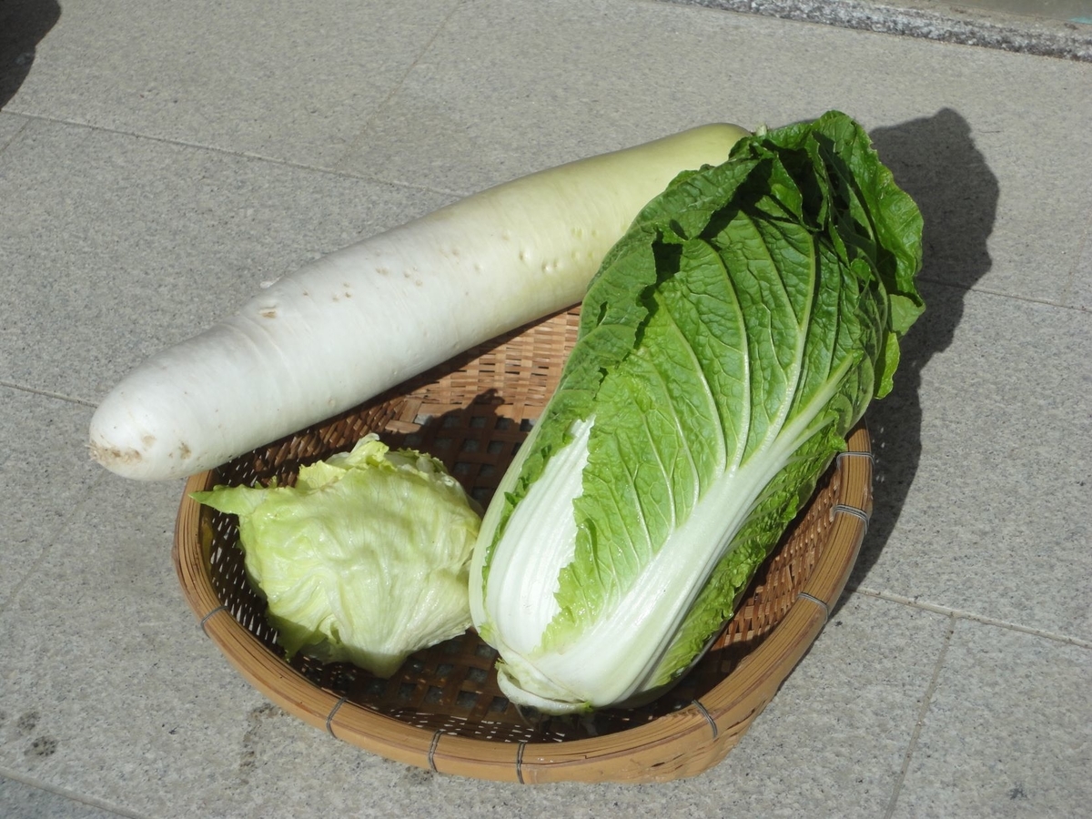 f:id:kon3815:20211126000305j:plain