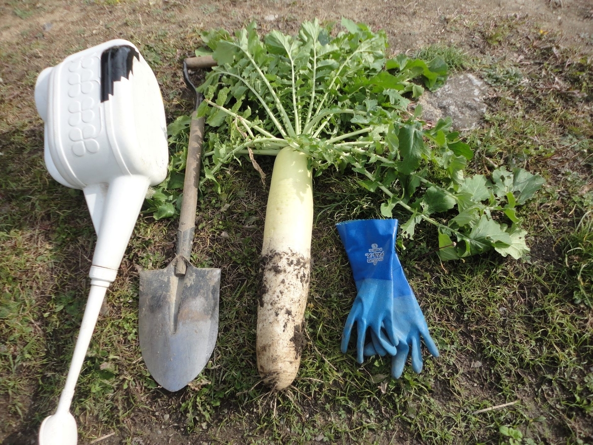 f:id:kon3815:20211126000604j:plain